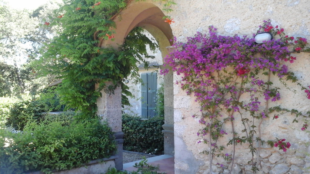 Giardino in Versilia